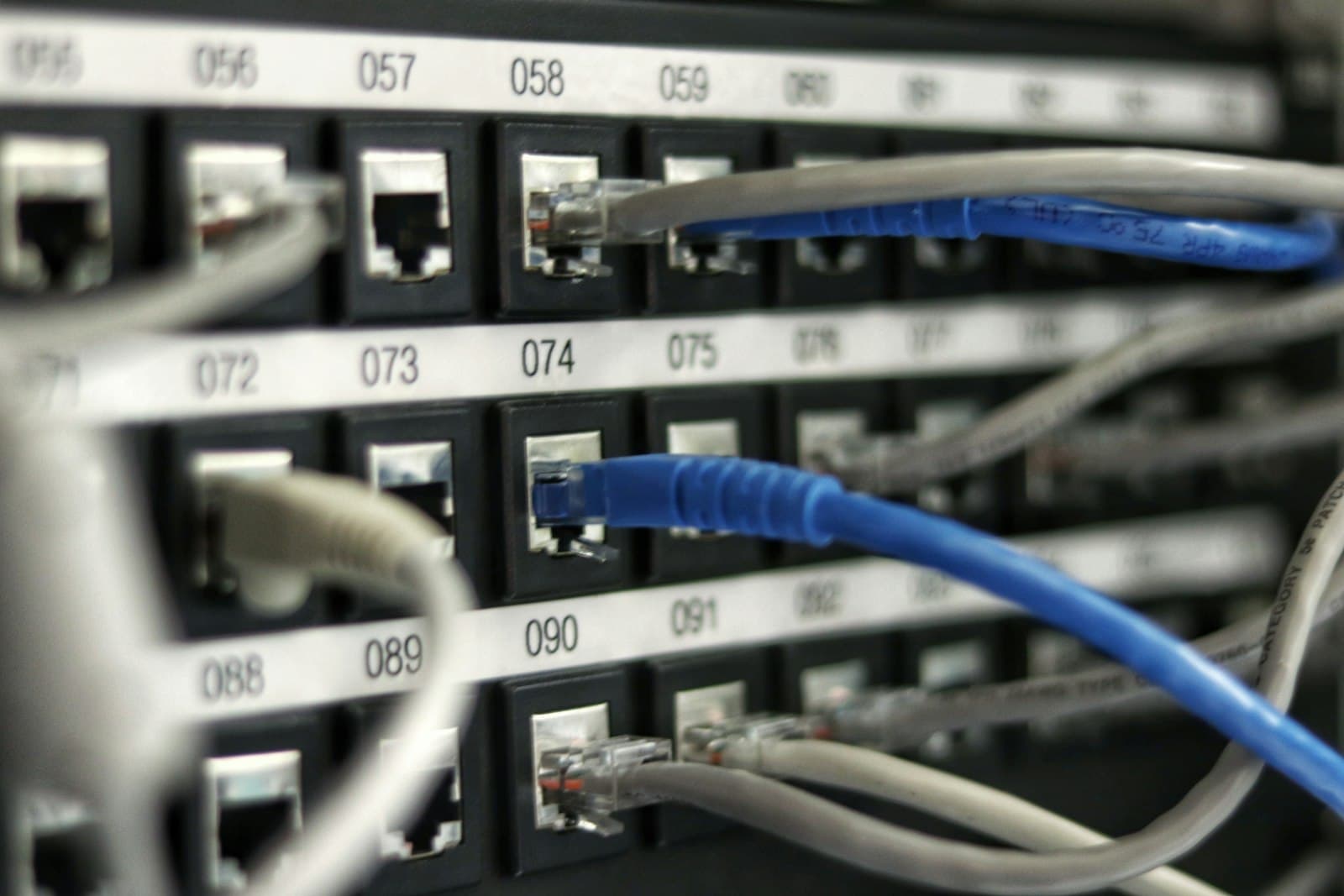 An Ethernet patch panel, blue and grey cables seated in numbered ports